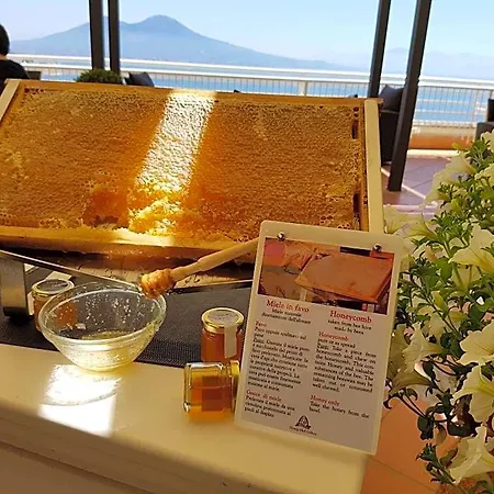 Paradiso Hotel 4*